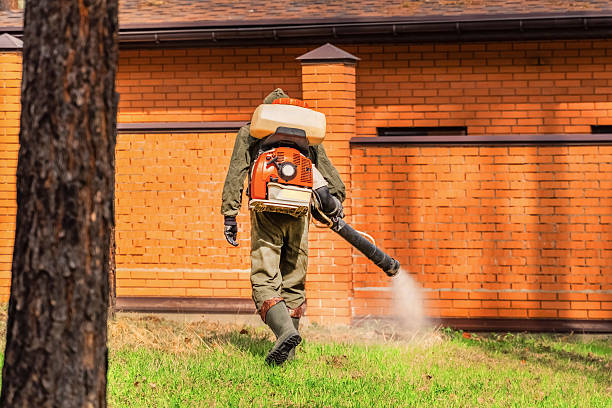 Trusted Termite Control service in Kearney, NE - Nex Pest Control